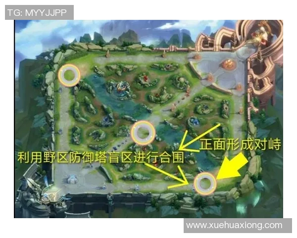 王者荣耀战术解析：深入探讨LNG战队的区域防守策略与执行