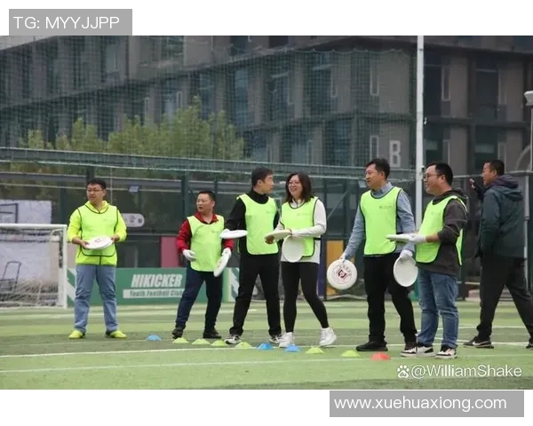 飞盘盛宴：深入了解西安飞盘队的默契配合与战术策略MBA